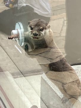 横浜・八景島シーパラダイスに投稿された画像（2024/7/15）