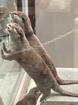 横浜・八景島シーパラダイスに投稿された画像（2024/7/15）