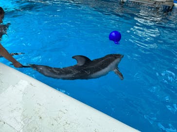 横浜・八景島シーパラダイスに投稿された画像（2024/7/15）