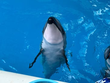 横浜・八景島シーパラダイスに投稿された画像（2024/7/15）