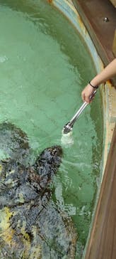 下田海中水族館に投稿された画像（2024/7/15）