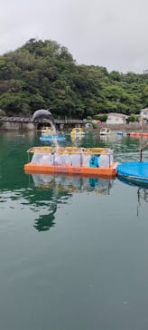 下田海中水族館に投稿された画像（2024/7/15）