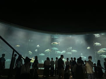 葛西臨海水族園に投稿された画像（2024/7/15）