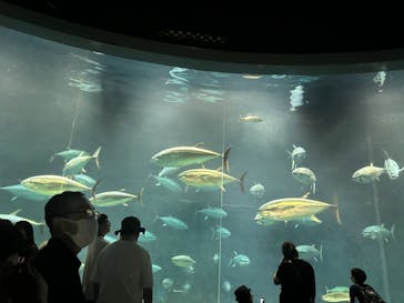 葛西臨海水族園に投稿された画像（2024/7/15）