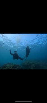 武藤潜水に投稿された画像（2024/7/15）