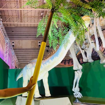 巨大恐竜展2024に投稿された画像（2024/7/15）