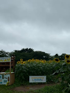 成田ゆめ牧場に投稿された画像（2024/7/15）