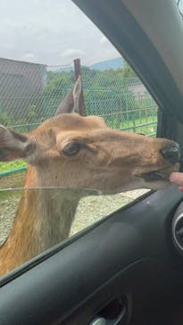 東北サファリパークに投稿された画像（2024/7/15）