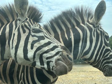 東北サファリパークに投稿された画像（2024/7/15）