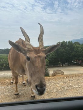 東北サファリパークに投稿された画像（2024/7/15）