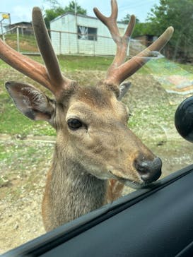 東北サファリパークに投稿された画像（2024/7/15）