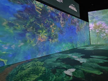 モネ＆フレンズ・アライブに投稿された画像（2024/7/15）