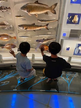 国立科学博物館に投稿された画像（2024/7/15）