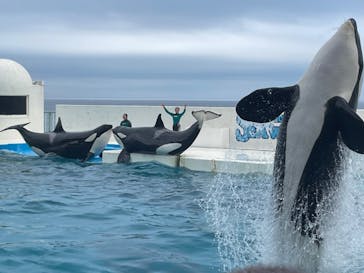 鴨川シーワールドに投稿された画像（2024/7/15）