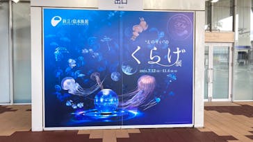 新江ノ島水族館に投稿された画像（2024/7/15）