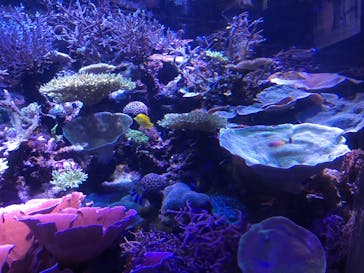 名古屋港水族館に投稿された画像（2024/7/15）