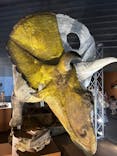 巨大恐竜展2024に投稿された画像（2024/7/15）