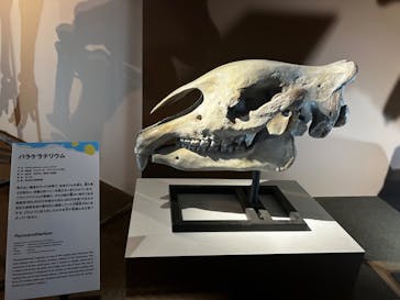 巨大恐竜展2024に投稿された画像（2024/7/15）