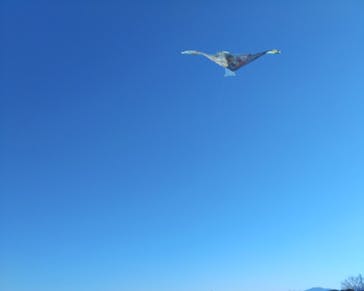 ポルトヨーロッパに投稿された画像（2024/7/15）