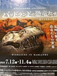 福井県立恐竜博物館に投稿された画像（2024/7/15）