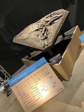 福井県立恐竜博物館に投稿された画像（2024/7/15）