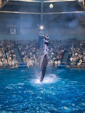 マクセル アクアパーク品川に投稿された画像（2024/7/15）