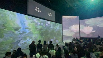 モネ＆フレンズ・アライブに投稿された画像（2024/7/15）