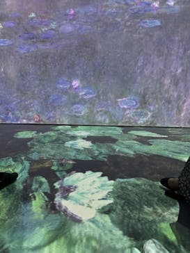 モネ＆フレンズ・アライブに投稿された画像（2024/7/15）