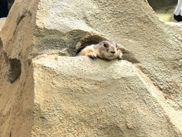 神戸どうぶつ王国に投稿された画像（2024/7/15）