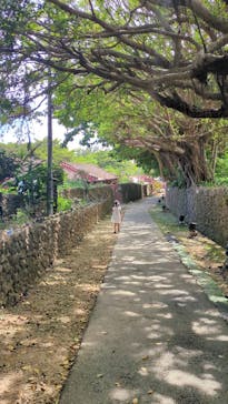 体験王国 むら咲むらに投稿された画像（2024/7/15）