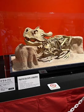 タッチ ザ ダイナソー ～恐竜アドベンチャー展～に投稿された画像（2024/7/15）