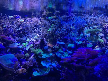 名古屋港水族館に投稿された画像（2024/7/15）