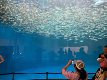 名古屋港水族館に投稿された画像（2024/7/15）