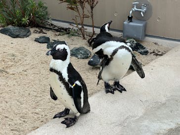 マリンワールド海の中道に投稿された画像（2024/7/15）