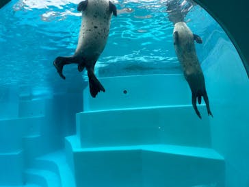 マリンワールド海の中道に投稿された画像（2024/7/15）