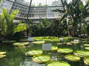 熱川バナナワニ園に投稿された画像（2024/7/15）