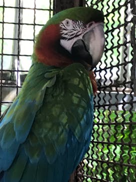 熱川バナナワニ園に投稿された画像（2024/7/15）