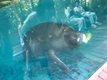 熱川バナナワニ園に投稿された画像（2024/7/15）