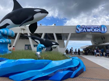 鴨川シーワールドに投稿された画像（2024/7/15）