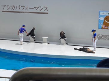鴨川シーワールドに投稿された画像（2024/7/15）