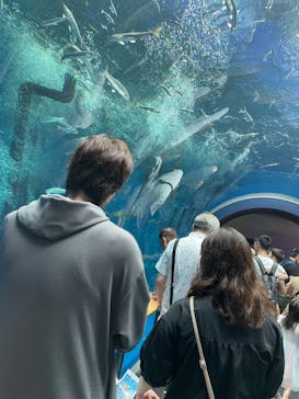 滋賀県立琵琶湖博物館に投稿された画像（2024/7/15）