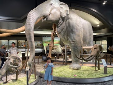 滋賀県立琵琶湖博物館に投稿された画像（2024/7/15）