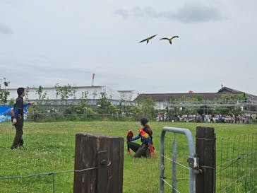 神戸どうぶつ王国に投稿された画像（2024/7/15）