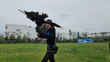 神戸どうぶつ王国に投稿された画像（2024/7/15）