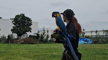 神戸どうぶつ王国に投稿された画像（2024/7/15）