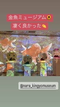 NARA KINGYO MUSEUMに投稿された画像（2024/7/15）