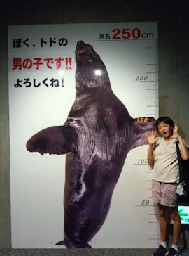 大分マリーンパレス水族館 「うみたまご」に投稿された画像（2024/7/15）