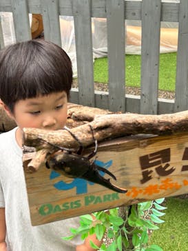 世界淡水魚園水族館　アクア・トトぎふに投稿された画像（2024/7/15）