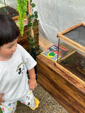 世界淡水魚園水族館　アクア・トトぎふに投稿された画像（2024/7/15）