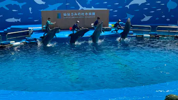 仙台うみの杜水族館に投稿された画像（2024/7/15）